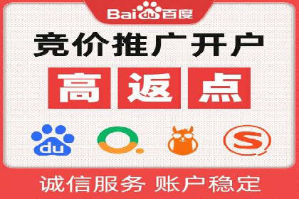 短视频平台的SEM推广实践与效果